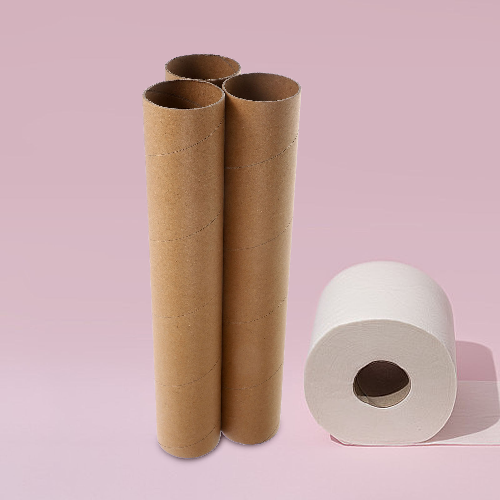 Art Craft Activities - 3 stuks blanco papieren rolletjes voor