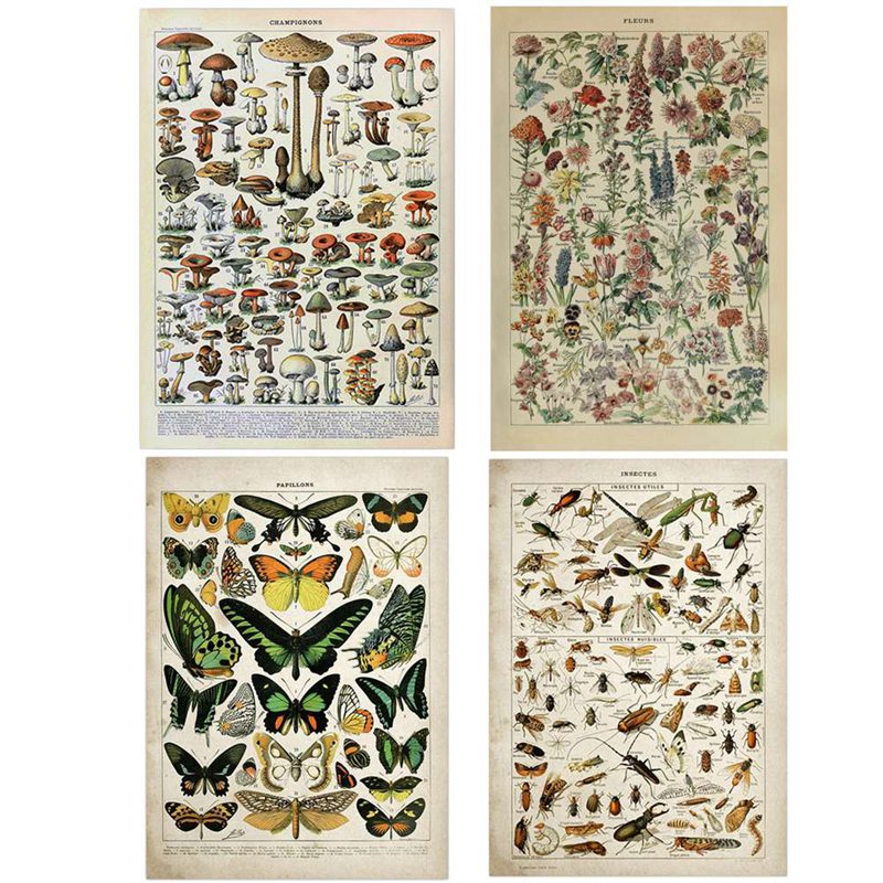 Art Craft Butterfly - Vintage Adolphe Millot Encyclopedie Canvas Schilderij