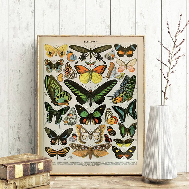 Vintage Adolphe Millot Encyclo - Art Craft Butterfly recensie en prijs