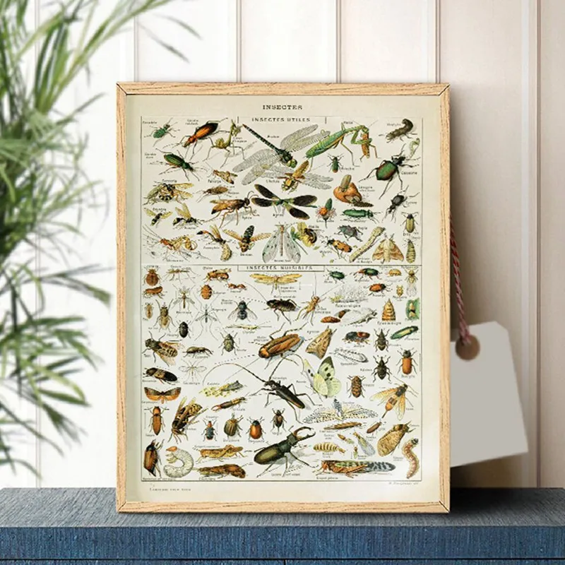 Vintage Adolphe Millot Encyclo - Art Craft Butterfly recensie en prijs